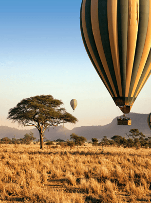 Hot-air balloons above the Tanzanian savanna