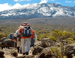Trekkers on the slopes of Mount Kilimanjaro