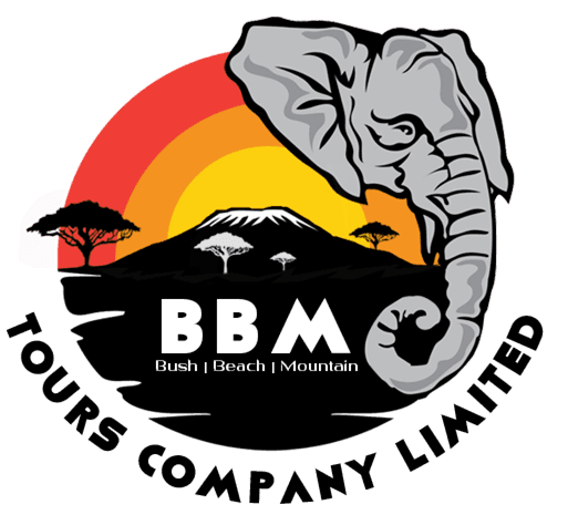 BBM — Bush, Beach, Mountain